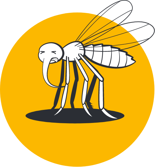 Effet anti-bourrage chez le moustique