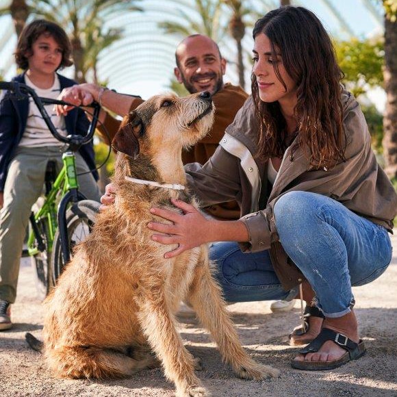 Famille avec chien