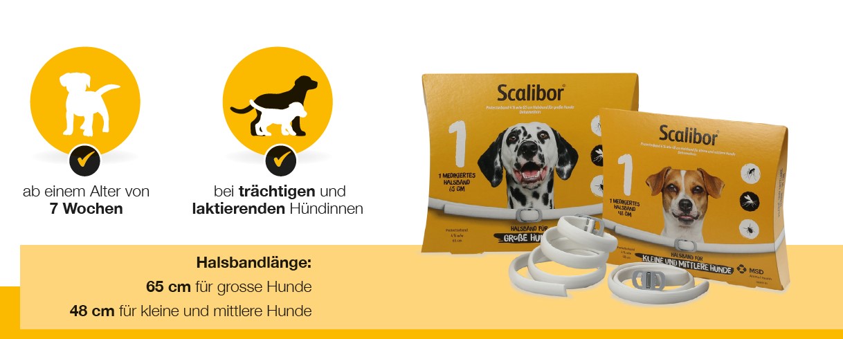 Nedsænkning forsætlig Bærecirkel Scalibor Protectorband : Schutz für Hund & Familie