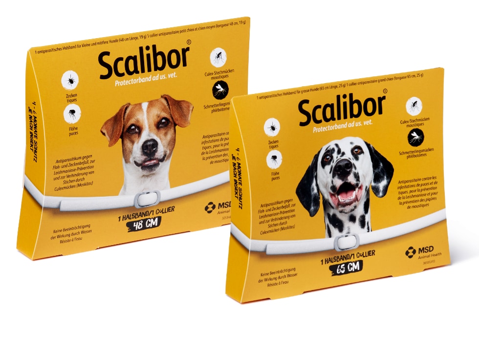 Packungsvarianten von Scalibor Protectorband