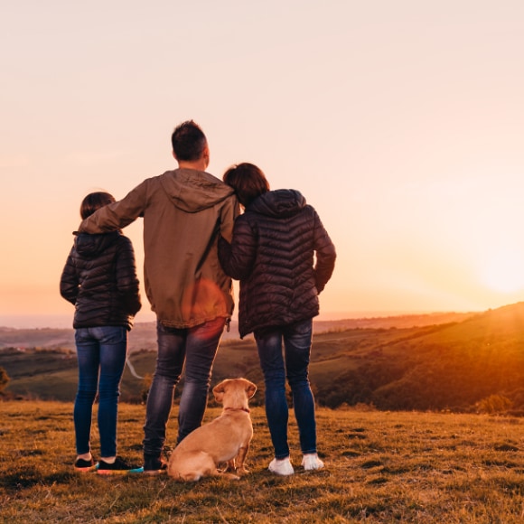 Familie mit Hund schaut in den Sonnenuntergang